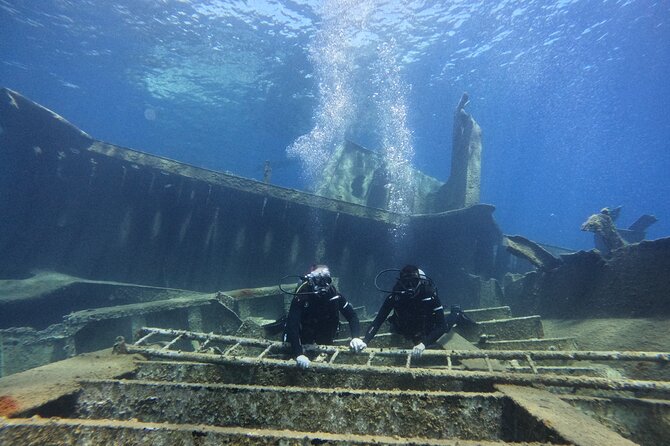 Experience Scuba Diving in Heraklion Crete - What you may see below the surface