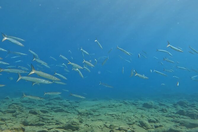 Experience Scuba Diving in Heraklion Crete - Health, weather, and cancellation details