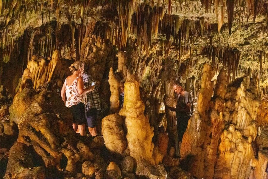 From Argostoli: Melissani Lake & Drogarati Caves Tour - Key points to know before booking