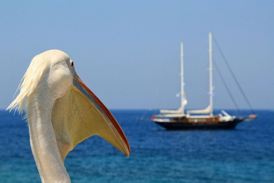 From Athens: 2-Day Santorini and Mykonos Trip - Leaving Athens for Rafina before breakfast
