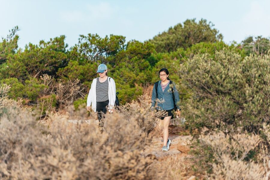 From Athens: Cape Sounion & Temple of Poseidon Half Day Tour - The Anavyssos beach break from May through October