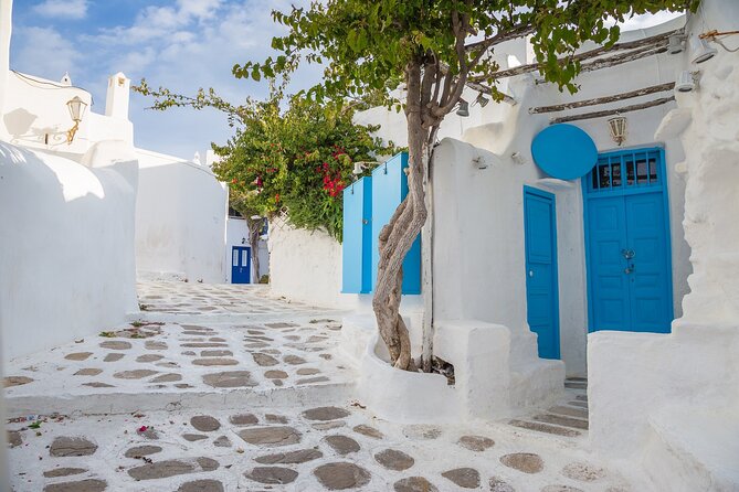 From Athens: Day Tour to Mykonos - Price, group size, and what you receive