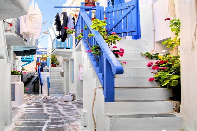 From Athens: Day Tour to Mykonos - The guide can make or break the day