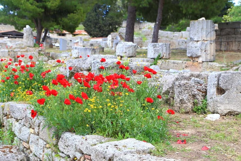 From Athens: Explore Ancient Corinth & Charming Nafplion - Corinth’s Christian connection and what the guide covers
