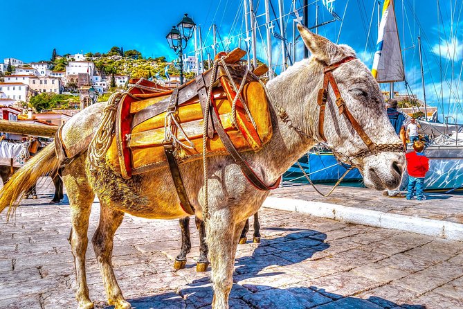 From Athens: Hydra, Poros, and Aegina Day Cruise with Lunch - The early start and port transfer