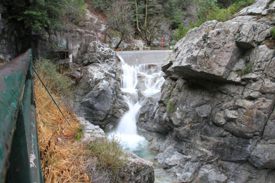 From Athens: Mt. Olympus National Park Guided Day Tour - Litochoro and a taste of local life