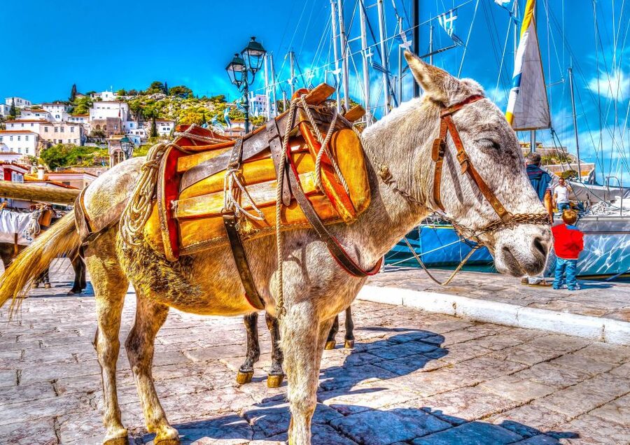 From Athens: Saronic Islands Full-Day Cruise with VIP Seats - The tradeoff: three islands versus real exploration