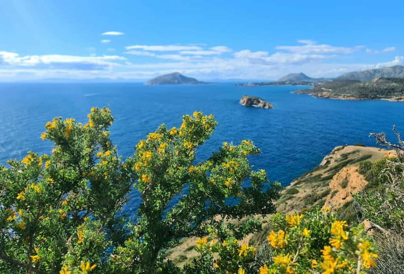 From Athens: Temple of Poseidon & Cape Sounion Half-Day Tour - Why Cape Sounion makes a fine half-day escape