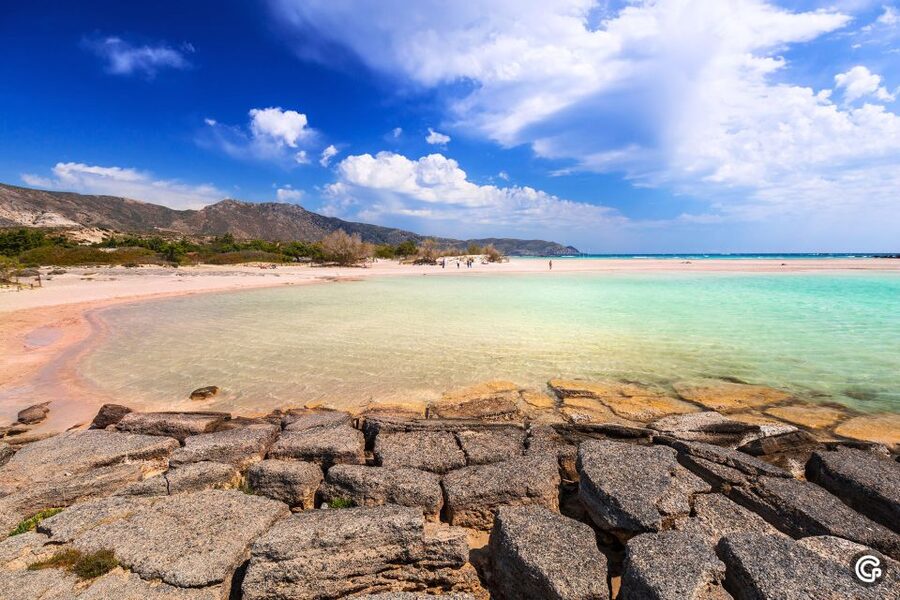 From Chania: Day Trip to Elafonisi Island Pink Sand Beach - What to know before you go