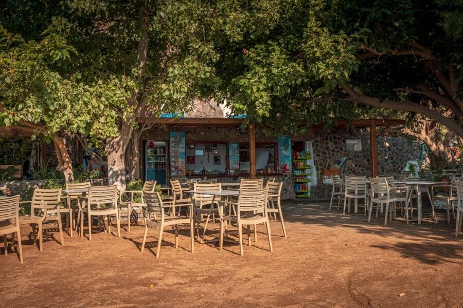 From Chania: Day Trip to Preveli Beach & Damnoni Beach - Key points to know before booking