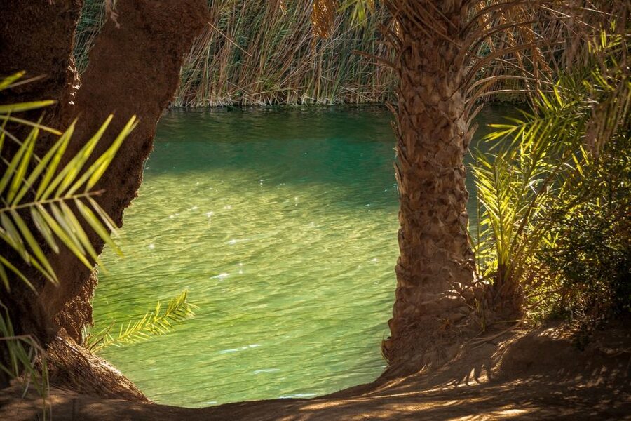 From Chania: Day Trip to Preveli Beach & Damnoni Beach - Damnoni Beach, coffee, and the first coastal pause