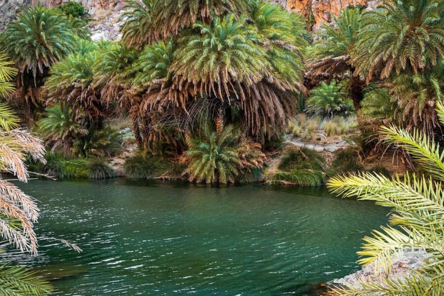 From Chania: Day Trip to Preveli Beach & Damnoni Beach - Plakias adds lunch and a slower final stop