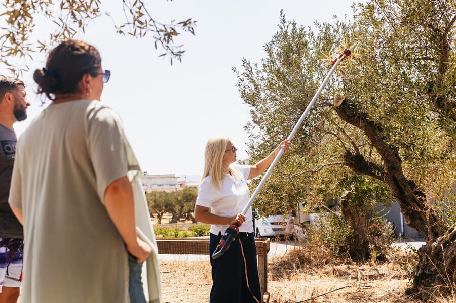 From Chania: Elafonisi and Falasarna Guided Tour with Snacks - Is $123 a fair price?