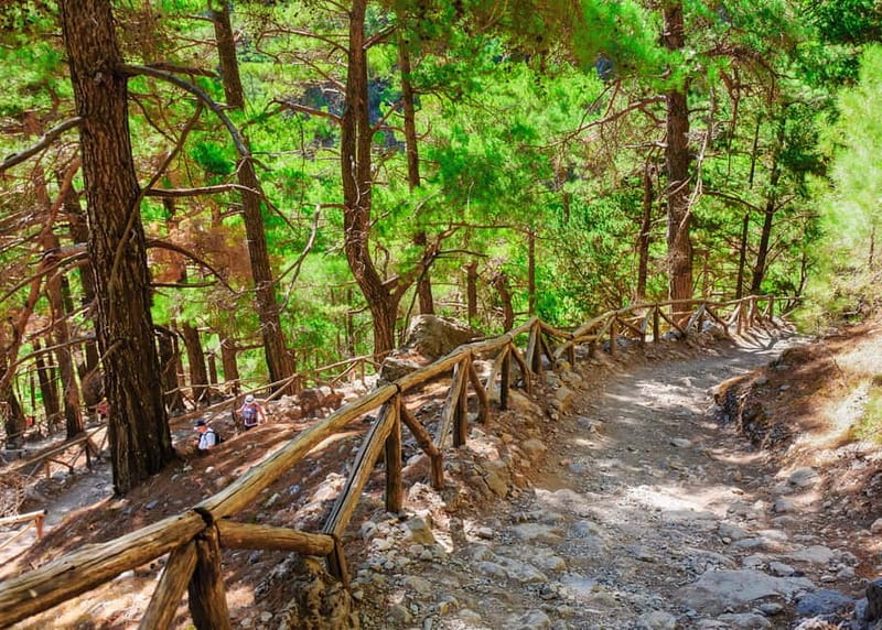 From Chania: Full-Day Samaria Gorge Trek Excursion & Guide - Who will get the most from this excursion