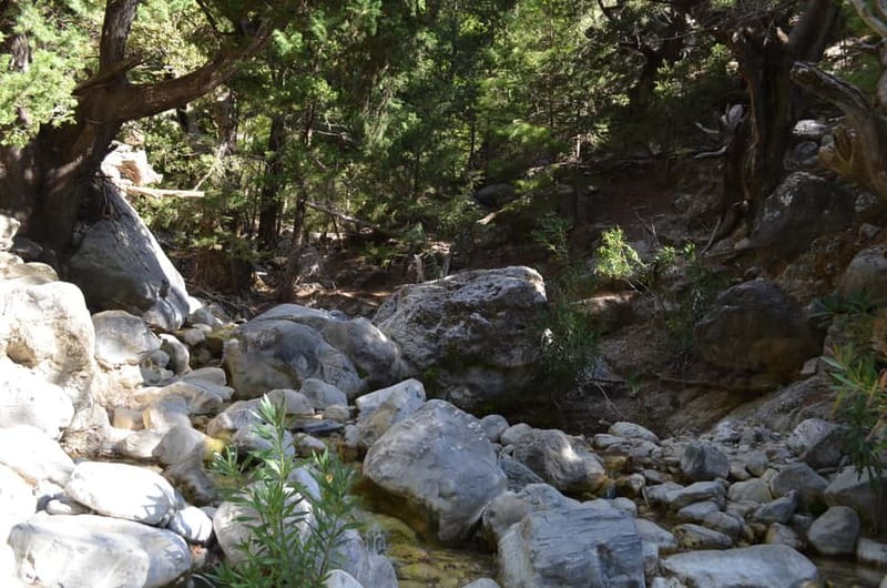 From Chania/Kalyves: Full-Day Samaria Gorge Hiking Day Trip - Who should choose this hike
