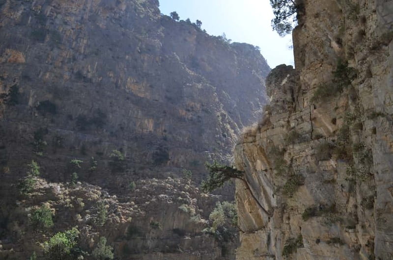 From Chania/Kalyves: Full-Day Samaria Gorge Hiking Day Trip - Breakfast on the Omalos Plateau
