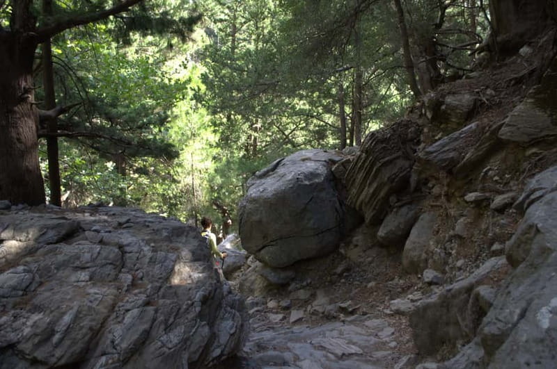 From Chania/Kalyves: Full-Day Samaria Gorge Hiking Day Trip - Xyloskalo to the gorge floor