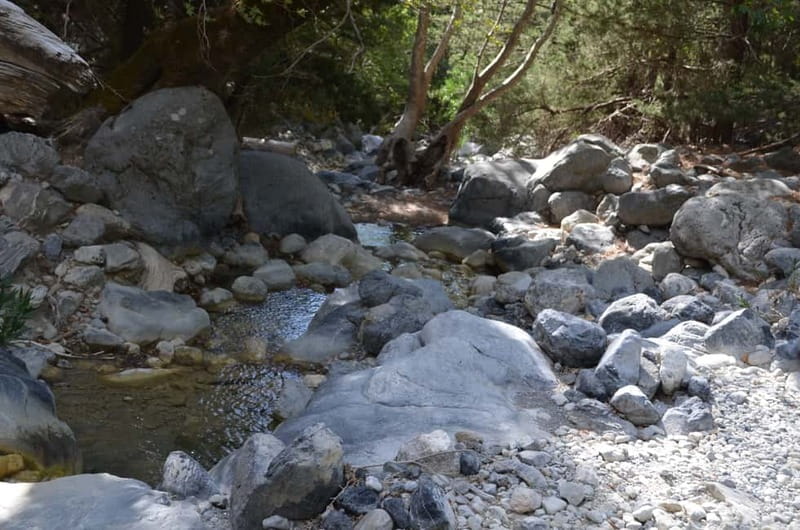From Chania/Kalyves: Full-Day Samaria Gorge Hiking Day Trip - Arriving in Agia Roumeli