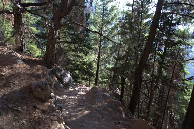 From Chania/Kalyves: Full-Day Samaria Gorge Hiking Day Trip - What the $32.75 price really includes