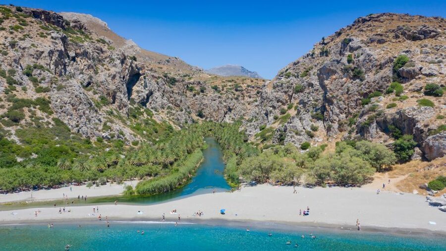 From Chania: Preveli Palm Beach Day Tour - Walking the protected palm forest