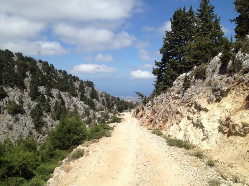 From Chania: White Mountains Land Rover Safari - Small details that improve the day