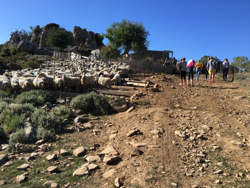 From Chania: White Mountains Land Rover Safari - The Therisso Gorge route back to Chania