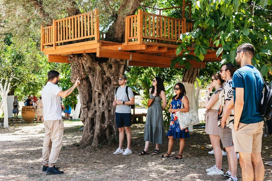 From Chania: Wine and Olive Oil Tasting Tour with Snacks - What makes this tour worth your time