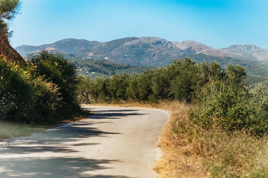 From Chania: Wine and Olive Oil Tasting Tour with Snacks - Your guide can make or break the day