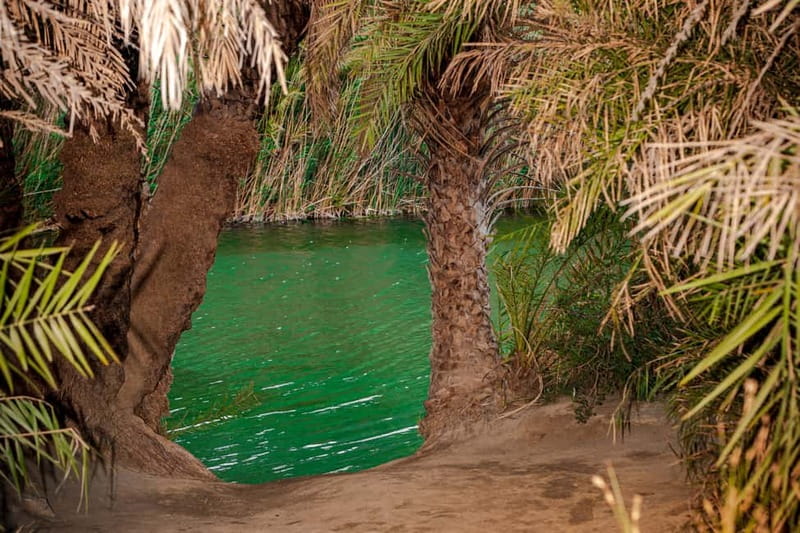 From Herakleion: Day Trip to Preveli Beach and Kourtaliotiko - The palm forest and river walk