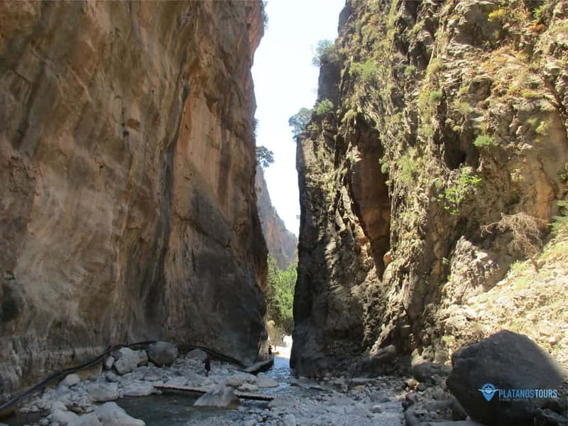 From Heraklion,Agia Pelagia,Malia: Samaria Gorge Guided Trip - Omalos and the White Mountains
