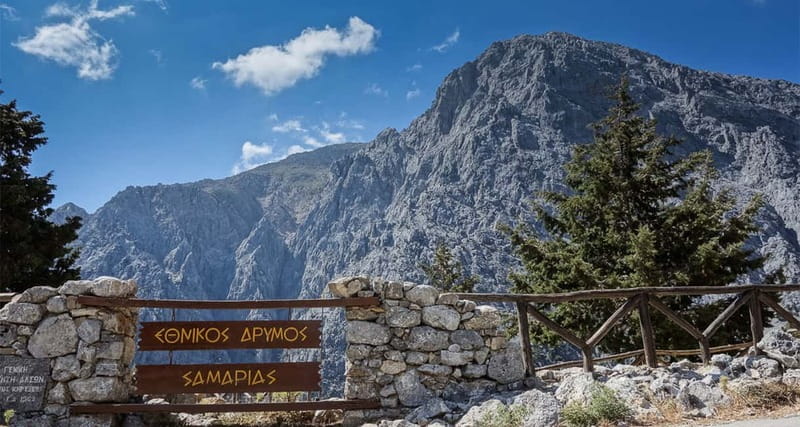 From Heraklion,Agia Pelagia,Malia: Samaria Gorge Guided Trip - Rock Formations, Plants, and Mountain Goats