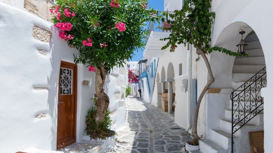 From Heraklion/Crete: Santorini Island Guided Day Trip - How much value do you get for $200?