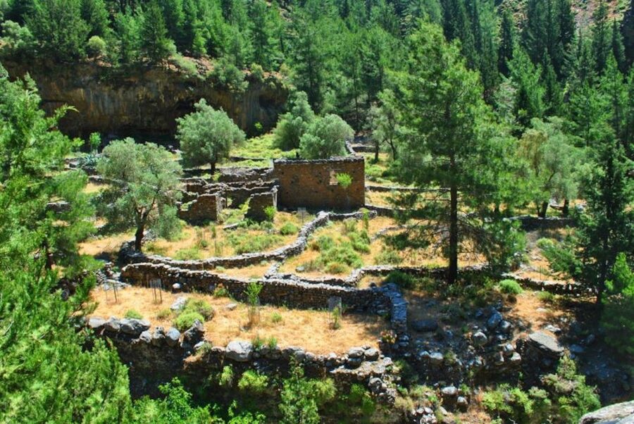 From Heraklion: Samaria Gorge & Agia Roumeli Hiking Day Trip - Hiking the first 6 kilometers