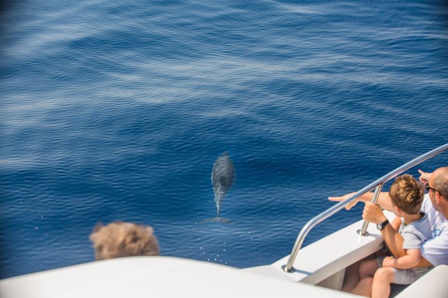 From Lefkimmi: Paxos, Antipaxos & Blue Caves Speedboat Tour - Leaving Lefkimmi on a fast boat