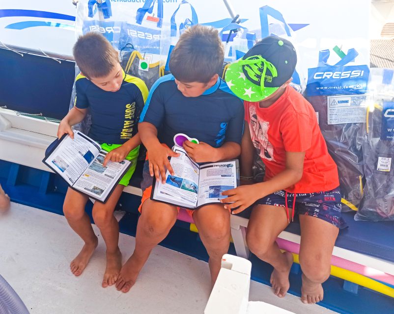 From Nidri: Marine Wildlife Cruise with Lunch and Swim Stops - Meganisi and a break in Vathy