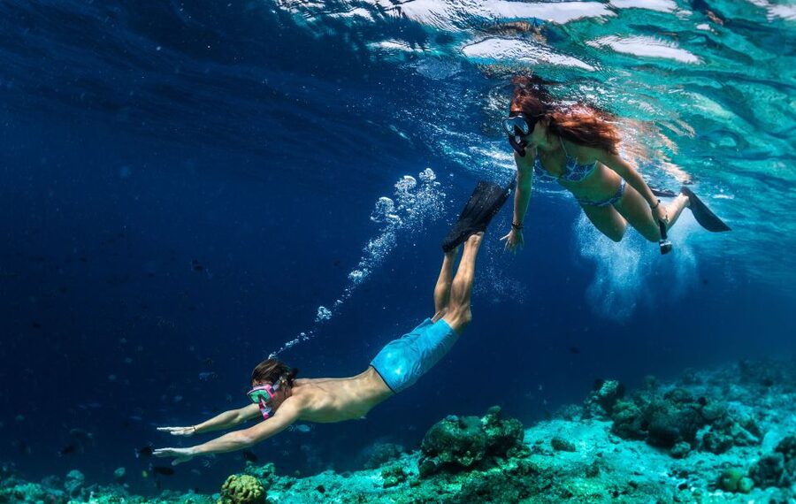 From Nidri: Marine Wildlife Cruise with Lunch and Swim Stops - The final swim and return to Nidri