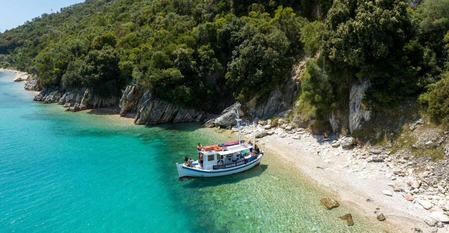 From Nidri: Marine Wildlife Cruise with Lunch and Swim Stops - What the $82 price includes