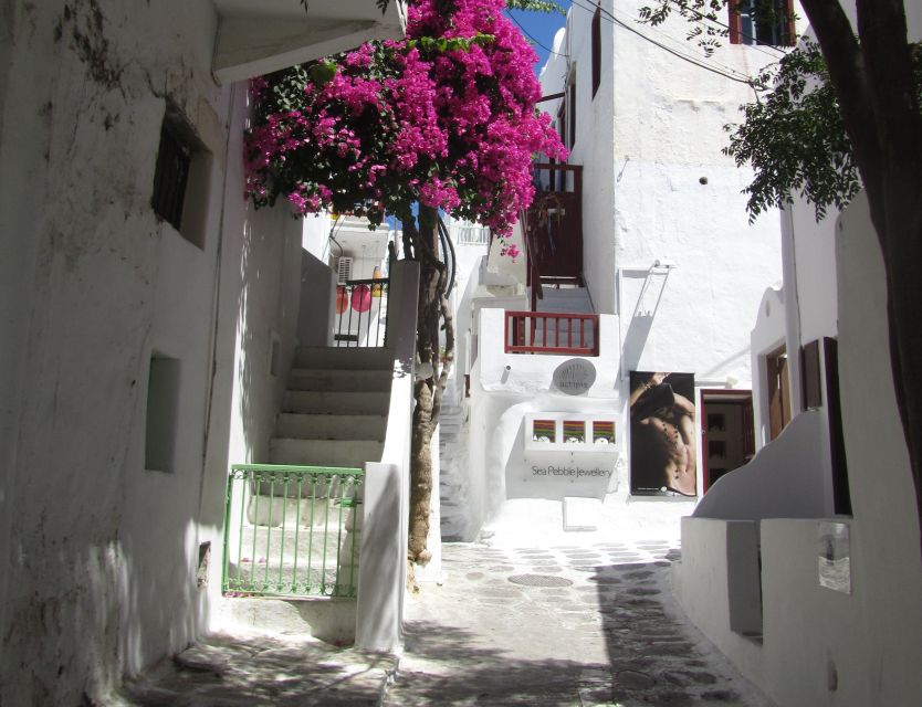 From Paros: Delos and Mykonos Full-Day Boat Trip - My final booking advice