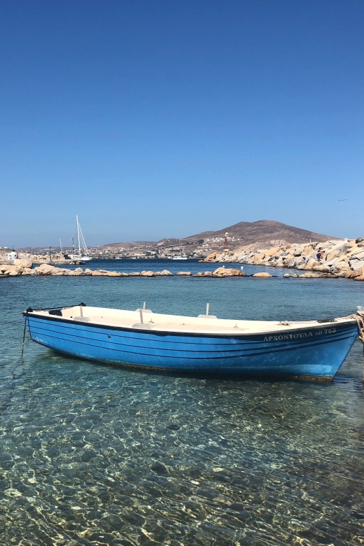 From Paros: Mykonos Full-Day Trip by Catamaran - Practical advice for a smoother day