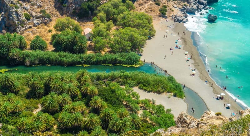 From Rethymno/Chania: Day Trip to Preveli Palm Beach - At a glance: what makes this trip worth considering