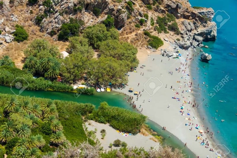 From Rethymno/Chania: Day Trip to Preveli Palm Beach - Is the $9.54 starting price good value?