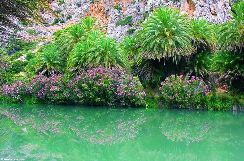 From Rethymno/Chania: Day Trip to Preveli Palm Beach - What happens at Preveli Beach
