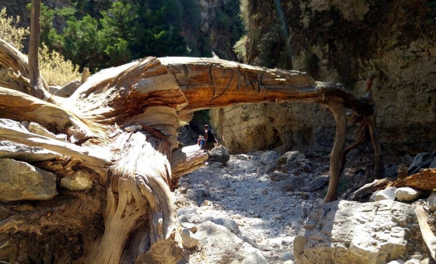 From Rethymno/Chania: Imbros Gorge Hike - Swimming and lunch beside the Libyan Sea