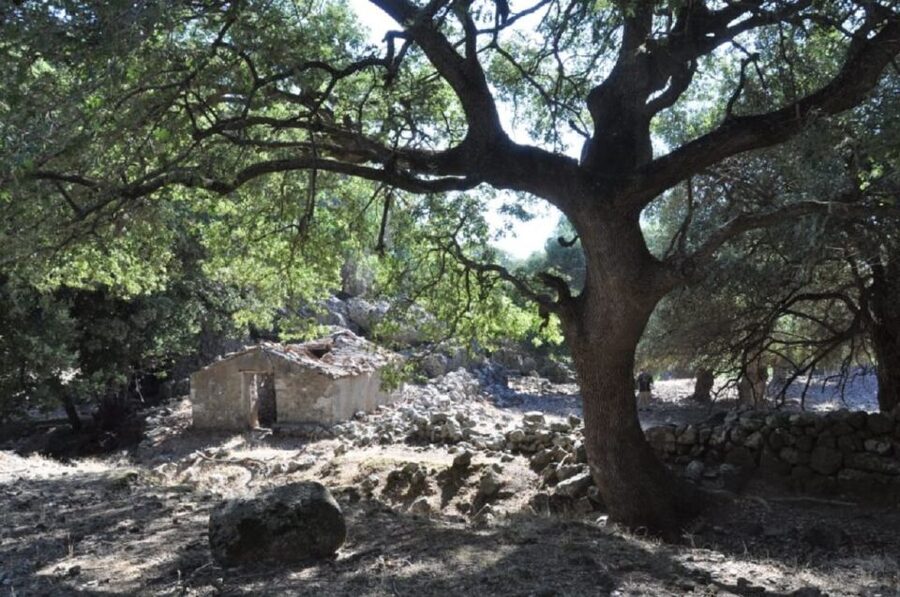 From Rethymno/Chania: Imbros Gorge Hike - Should you book the Imbros Gorge hike?