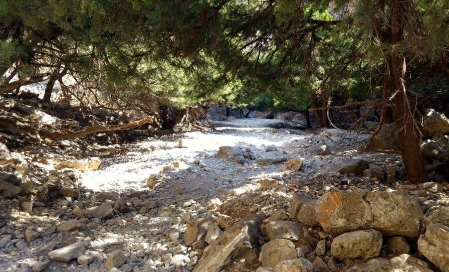 From Rethymno/Chania: Imbros Gorge Hike - The morning drive from the coast into the White Mountains