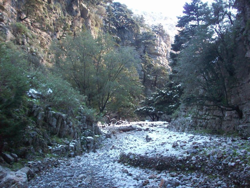 From Rethymno: Imbros Gorge & Libyan Guided Sea Tour - Why this Rethymno day trip works
