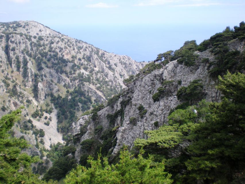 From Rethymno: Imbros Gorge & Libyan Guided Sea Tour - Chora Sfakion gives you a short sea break