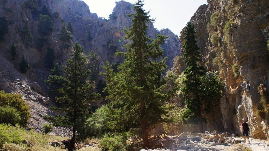 From Rethymno: Imbros Gorge & Libyan Guided Sea Tour - Traditional lunch and the trip back to Rethymno
