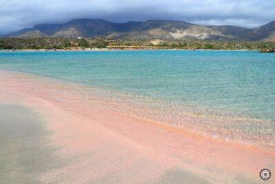 From Rethymno/Kavros: Elafonisi Island Pink Sand Beach Tour