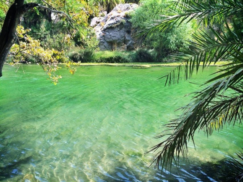 From Rethymno: Preveli Palm Beach and Kourtaliotiko Day Trip - Food, Plakias, and the flexible middle of the day